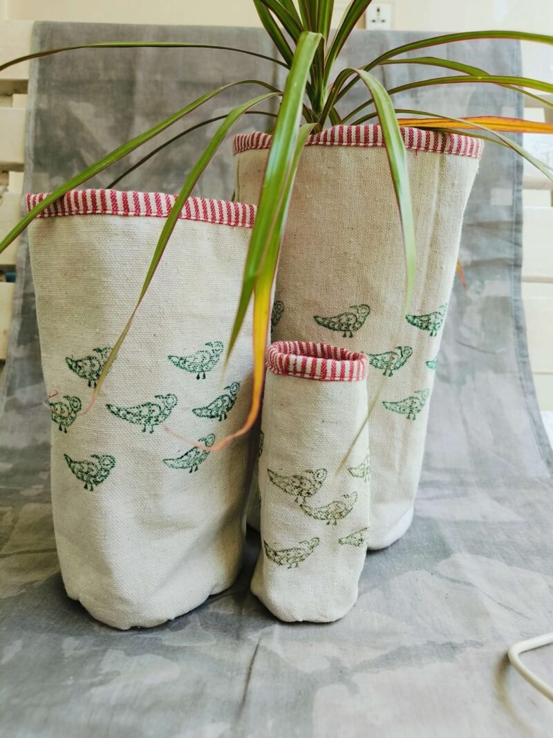 Green tiny parrots with stripes piping