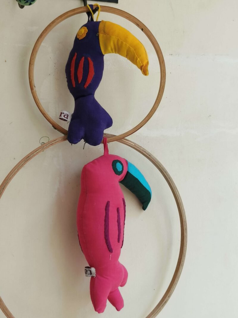 Toucan Pair