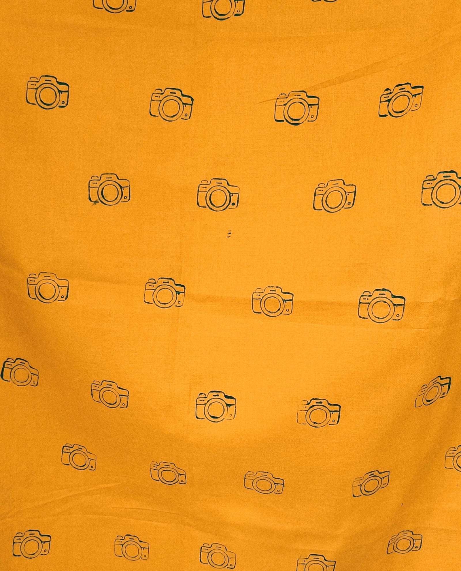 Green-Camera-Print