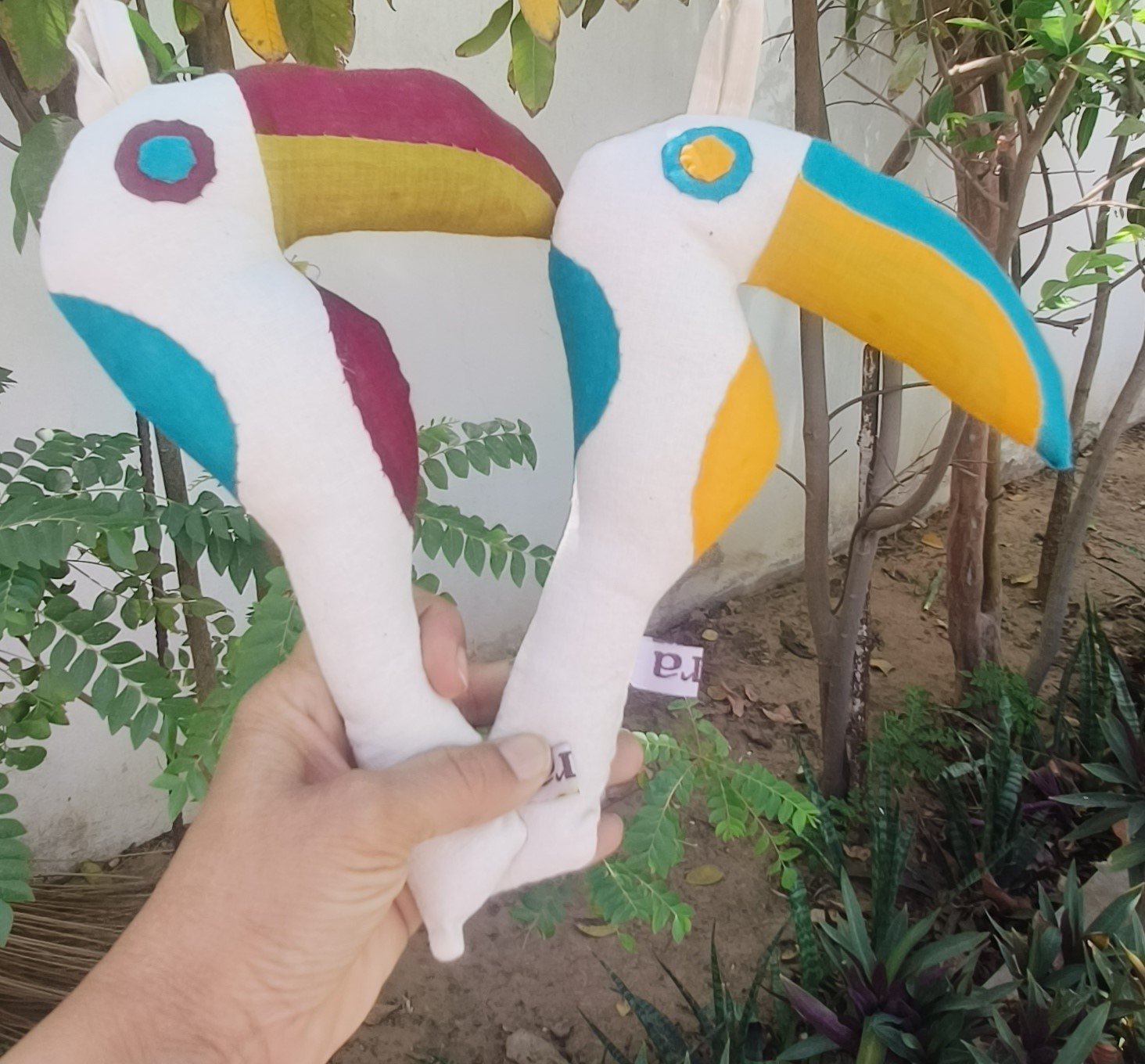 Toucan The colourful ice candy