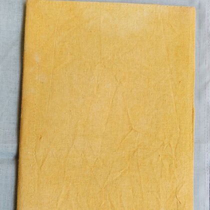 Memory Planner - fresh turmeric